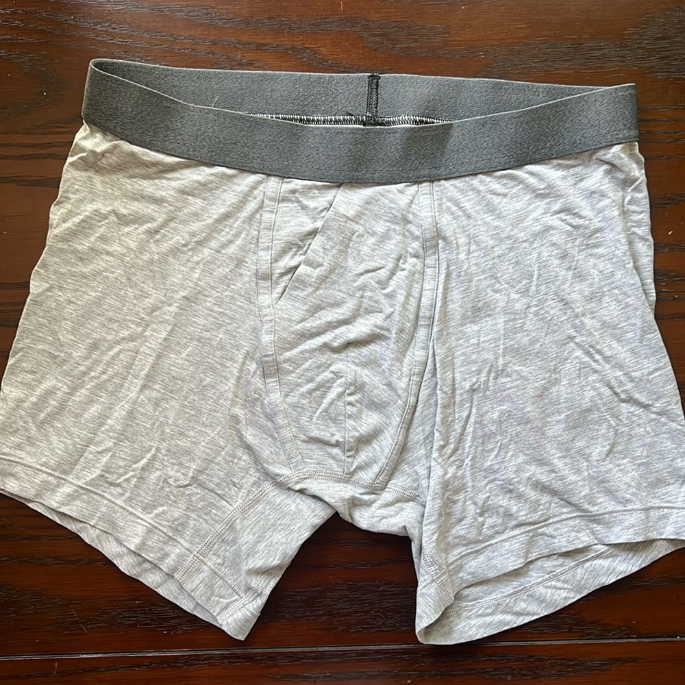 Bombas mens cotton modal boxer briefs